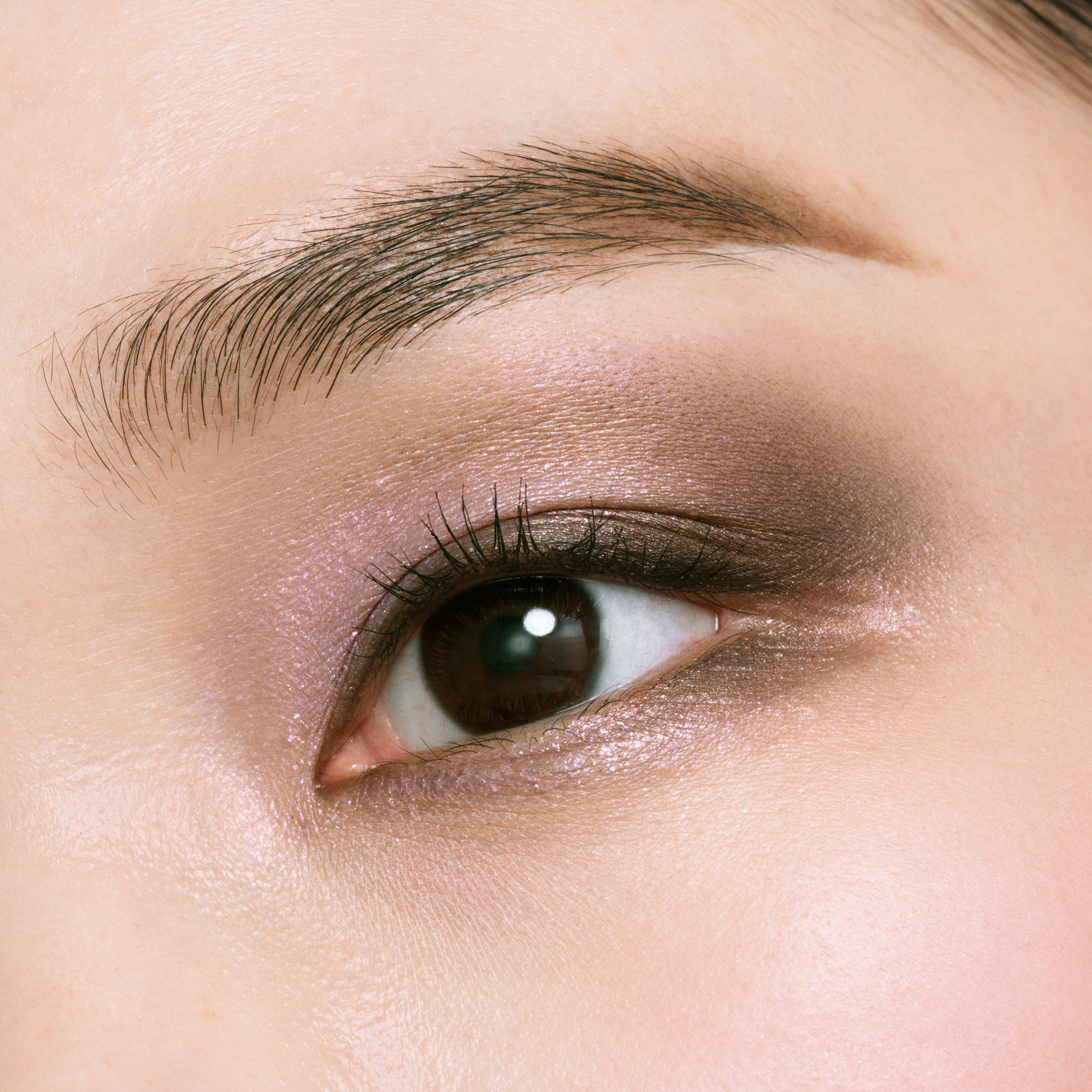 Ombres Couleurs Quadri