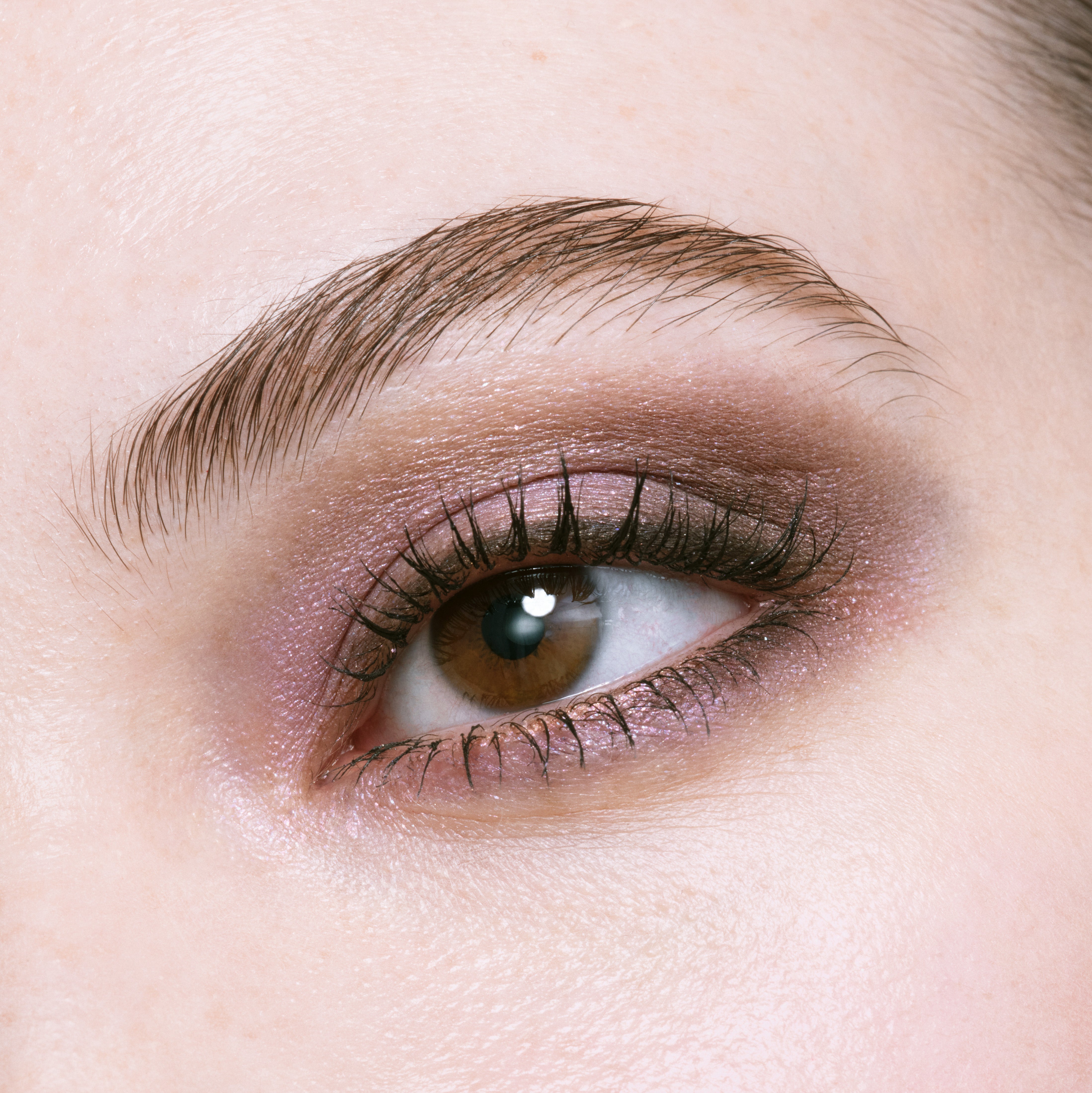 Ombres Couleurs Quadri