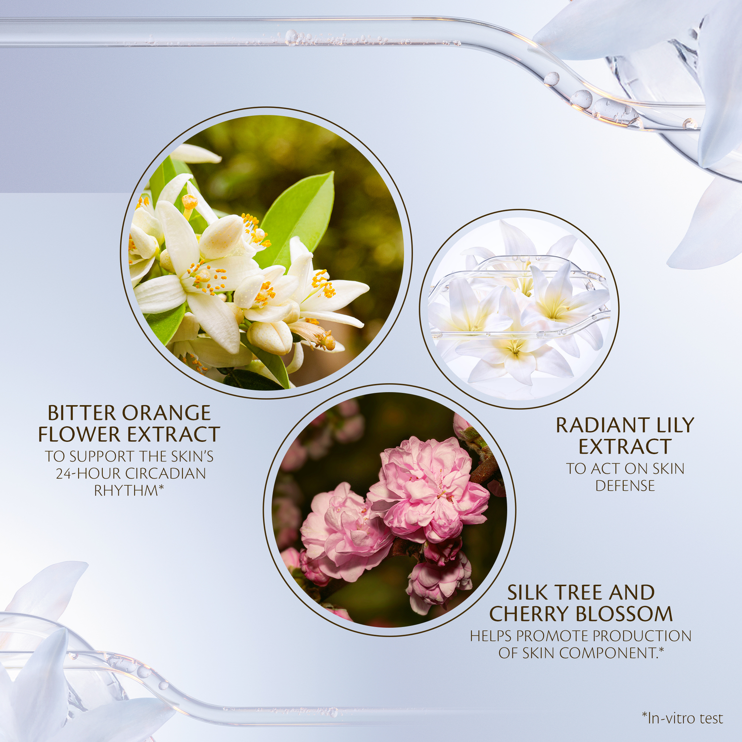 Crème Nuit Intensive Renforcée