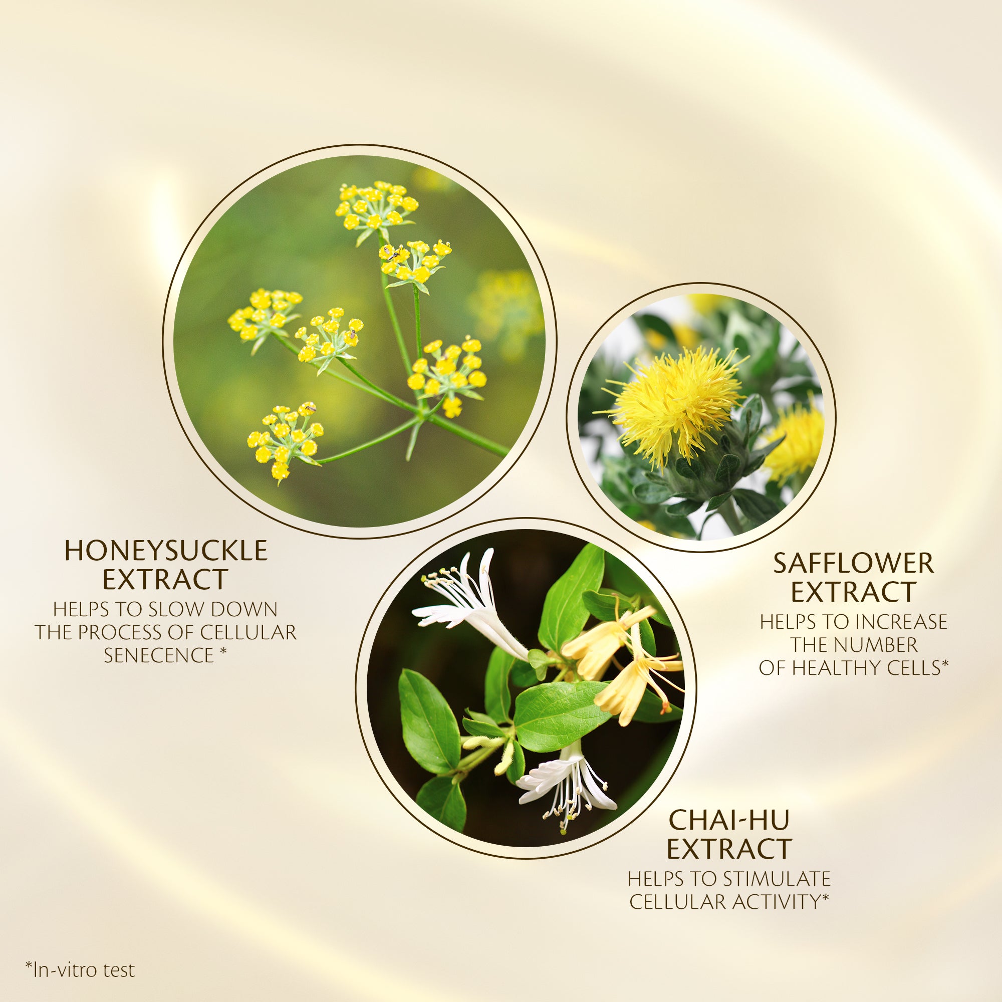 Sérum Raffermissant Suprême