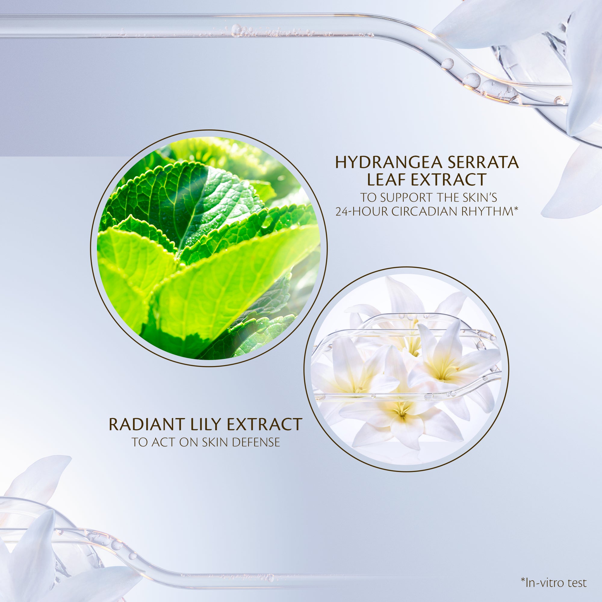 Emulsion Jour Protectrice