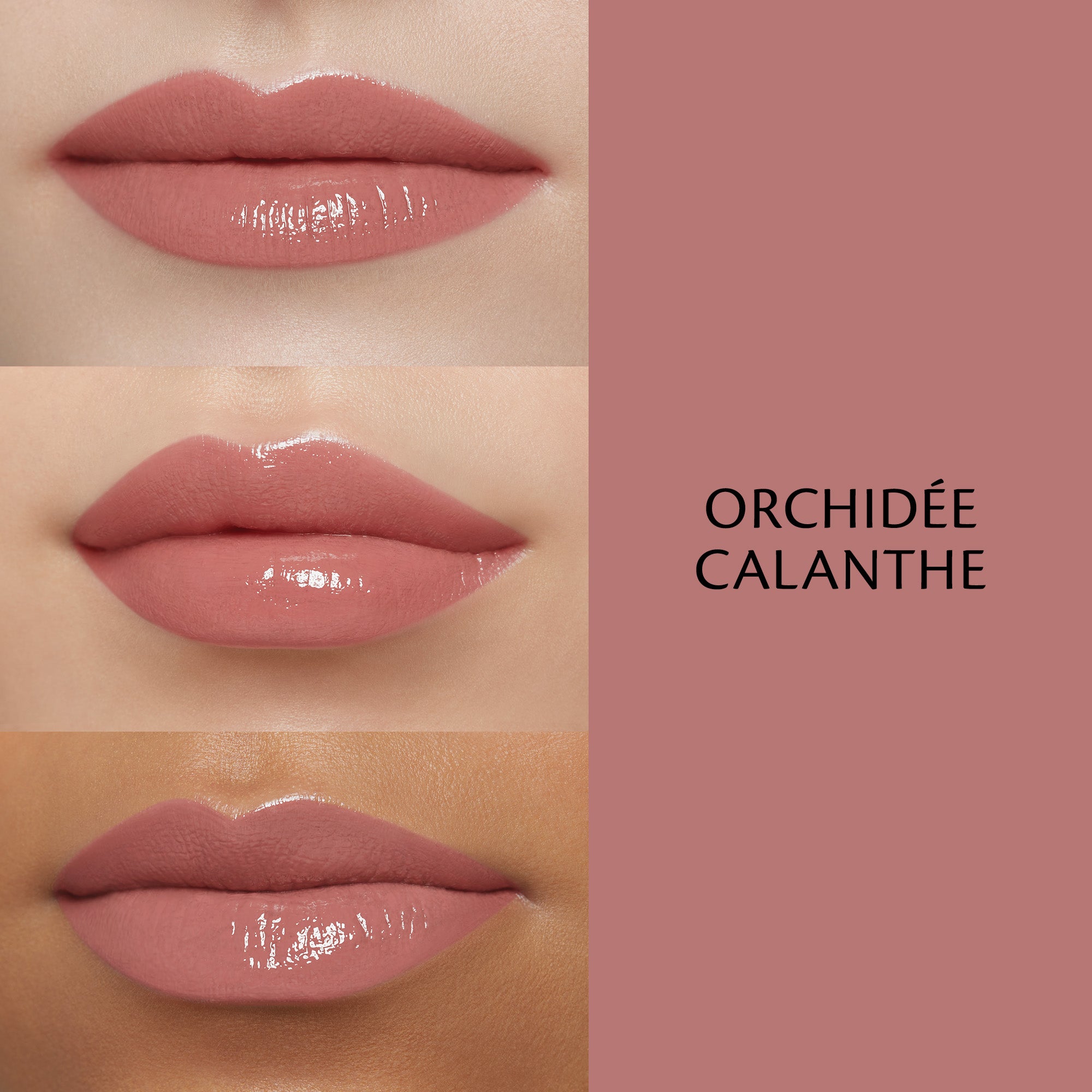 Rouge Crème Brillant