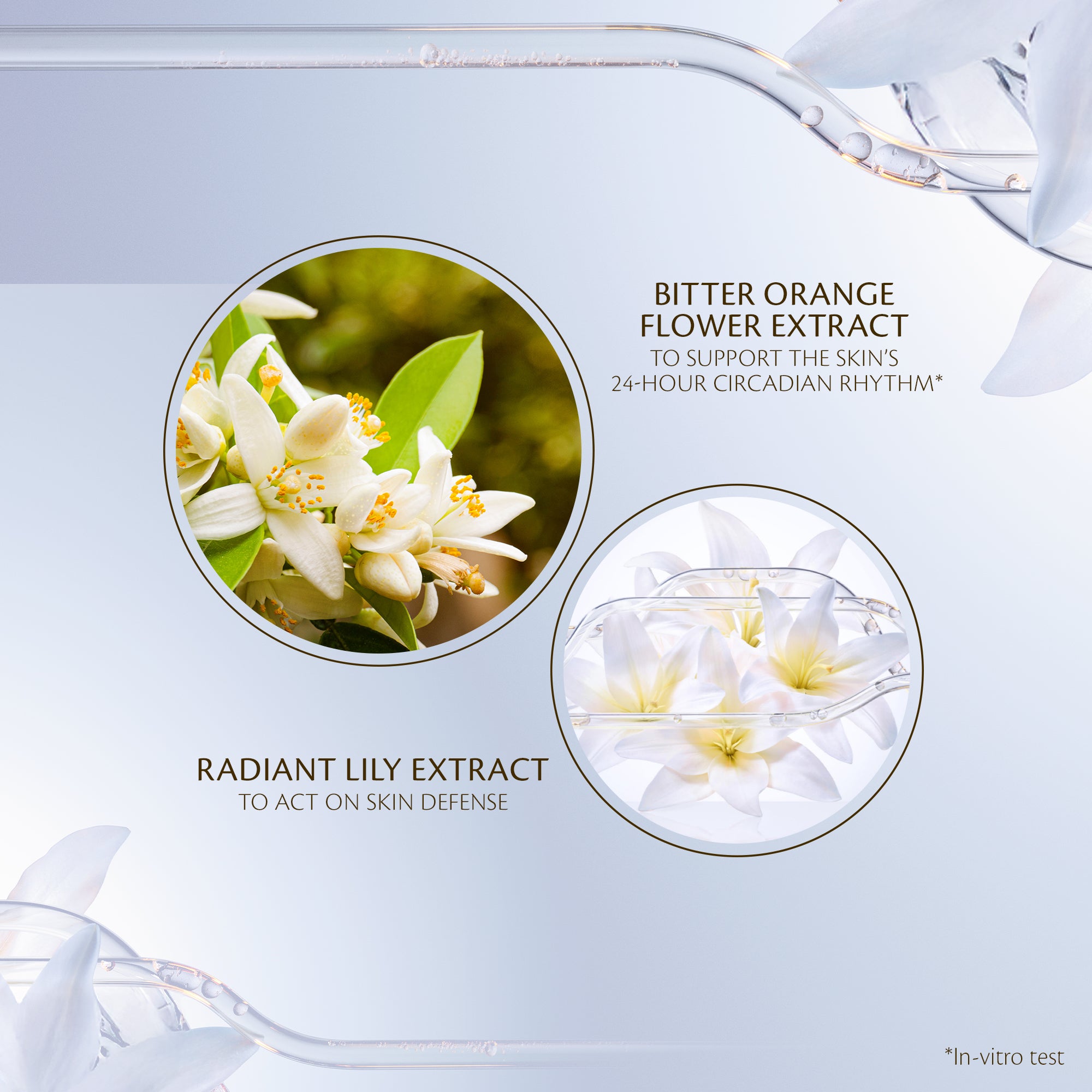Intensive Night Emulsion | Cream & Moisturizer | Clé de Peau Beauté