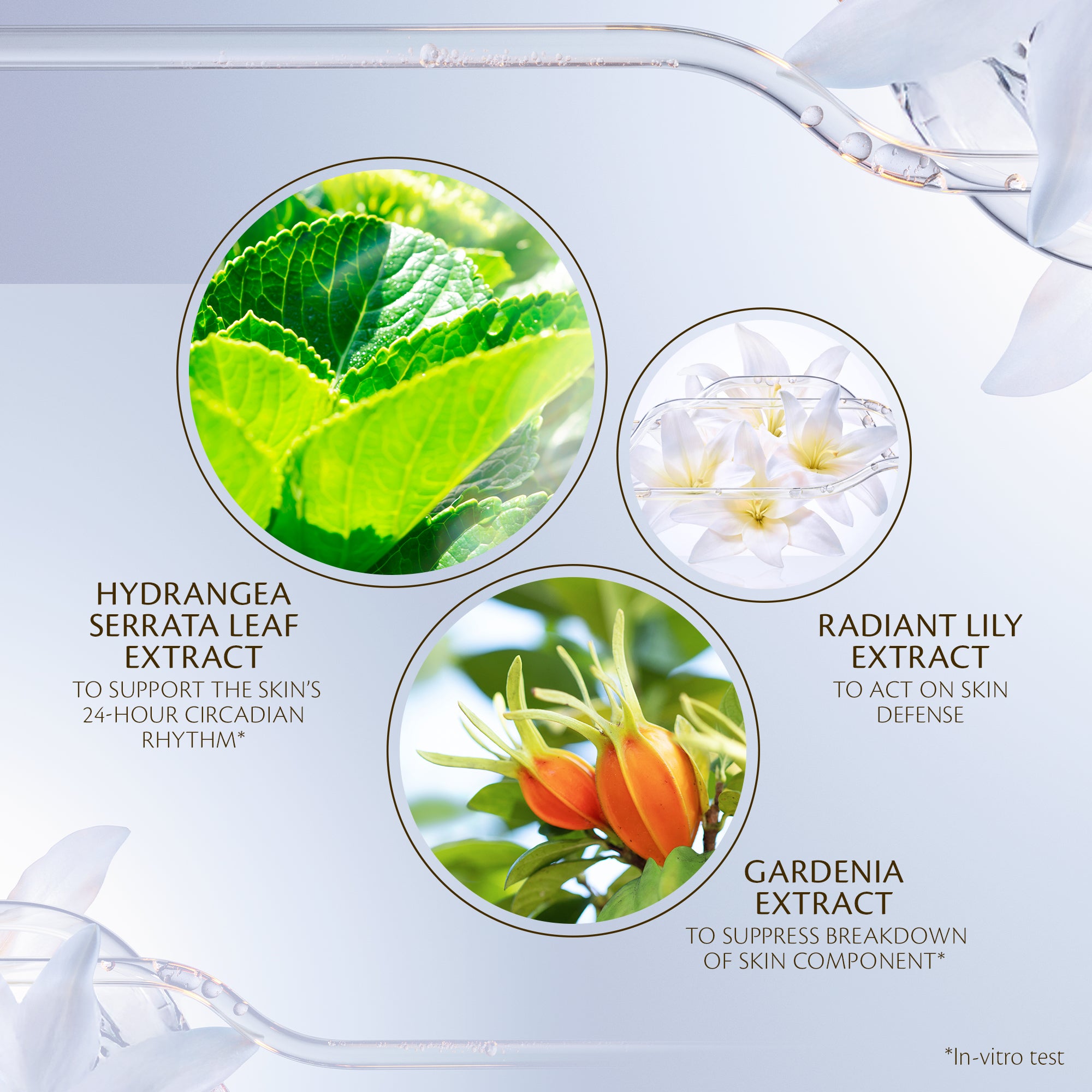 Crème Jour Protectrice Renforcée - Recharge
