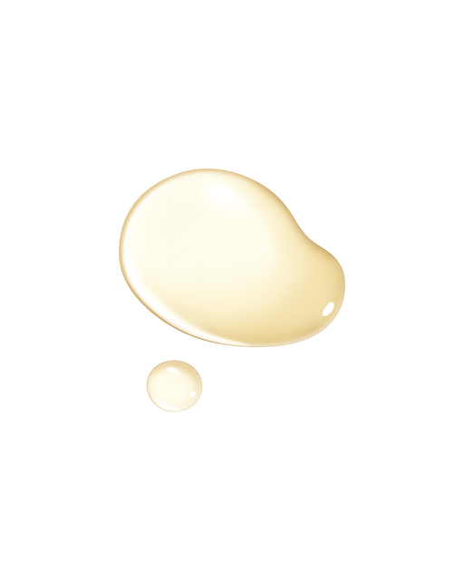 s/files/1/0911/6739/2086/files/10122665101_2.png?v=1757716241