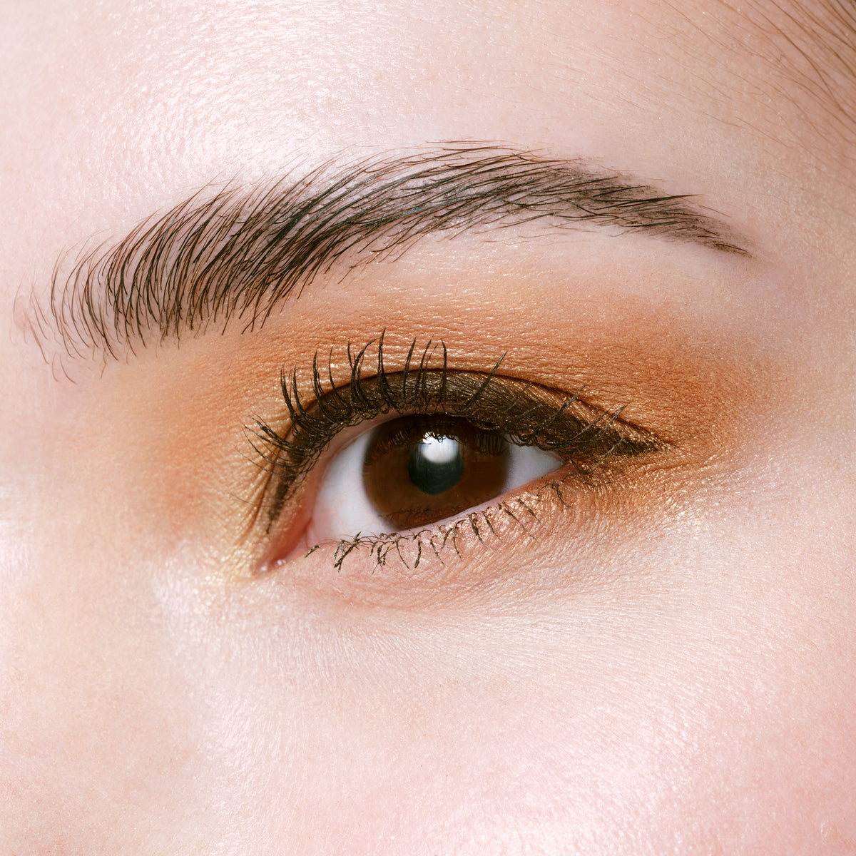 EYE COLOR QUAD LIMITED EDITION