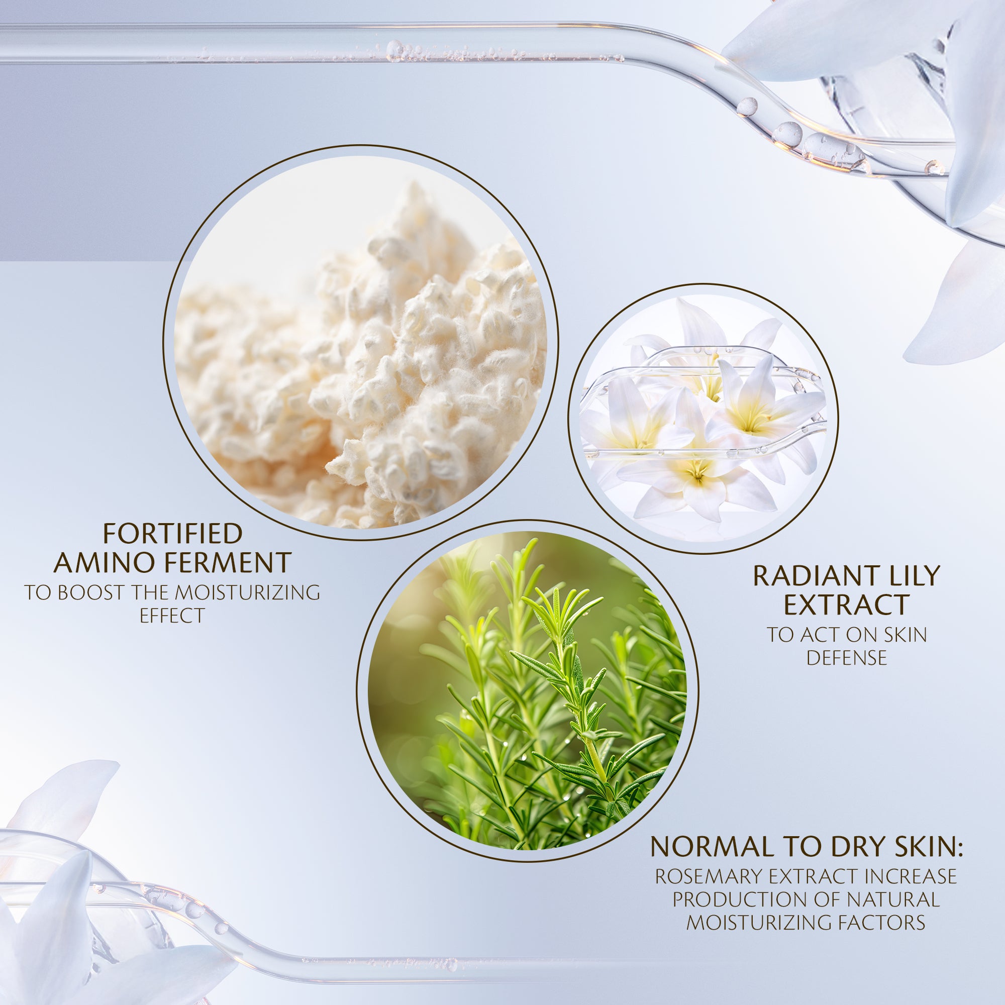 Lotion Essentielle Hydro-Adoucissante