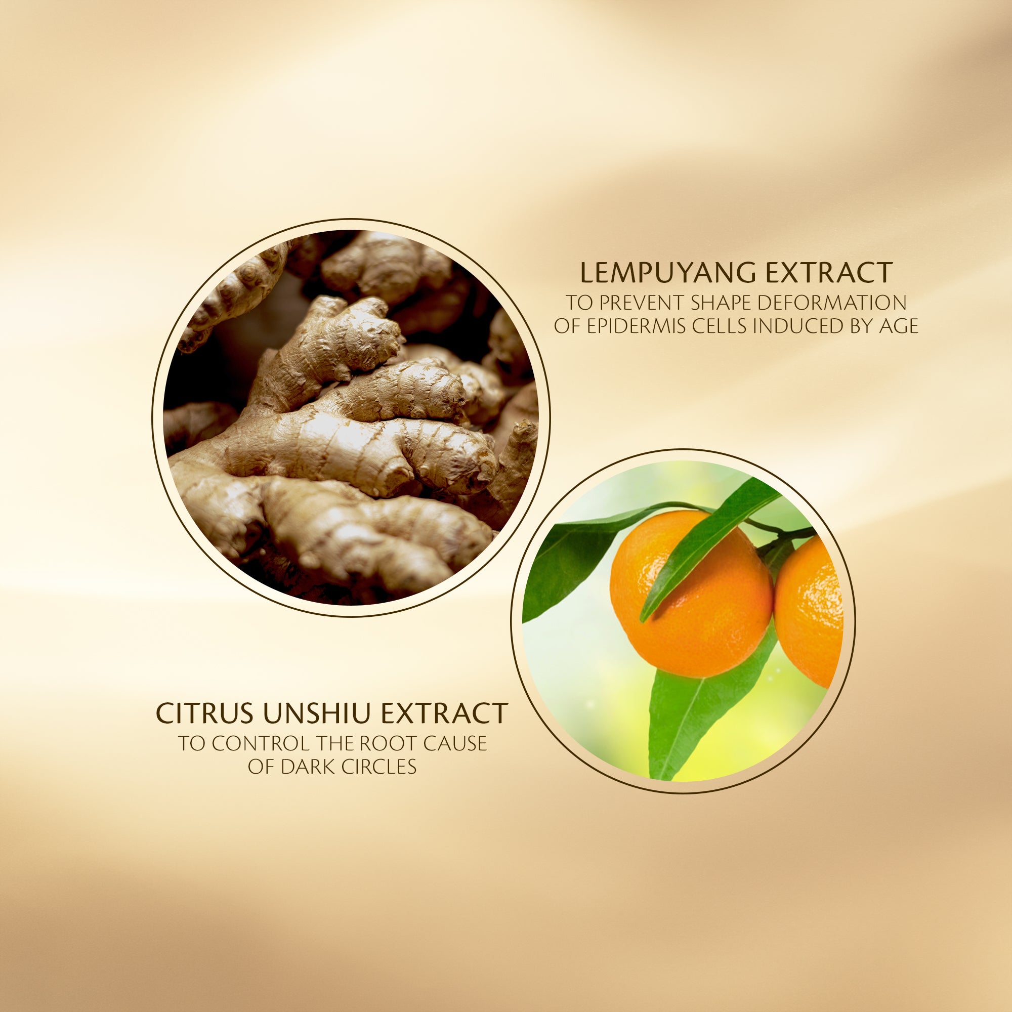 Crème Suprême Contour des Yeux